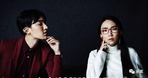 娱乐圈爆料男艺人的小说,揭秘男艺人背后的秘密  第1张